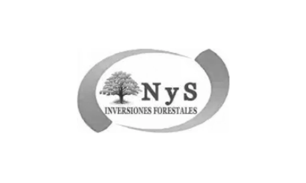 N Y S